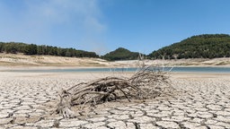 Ausgetrockneter Boden des Lago Fanaco in Sizilien