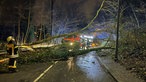 Die Feuerwehr muss umgestürzten Baum von einer Straße in Mülheim.