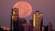  USA, Kansas City: Der Supermond geht hinter den Gebäuden der Innenstadt unter.