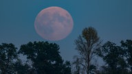 Brandenburg, Mallnow: Sehr schwach leuchtet der aufgehende Vollmond über der Landschaft im östlichen Brandenburg.