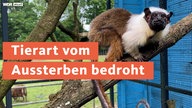 "Tierart vom Aussterben bedroht"