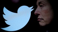 Elon Musk und das Twitter-Logo