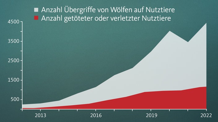 Grafik zur Anzahl der Übergriffe von Wölfen auf Nutztiere 