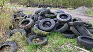 Das Bild zeigt einen großen Haufen an alten Autoreifen, der auf einer Grünfläche neben einem Pfad im Wald liegt.