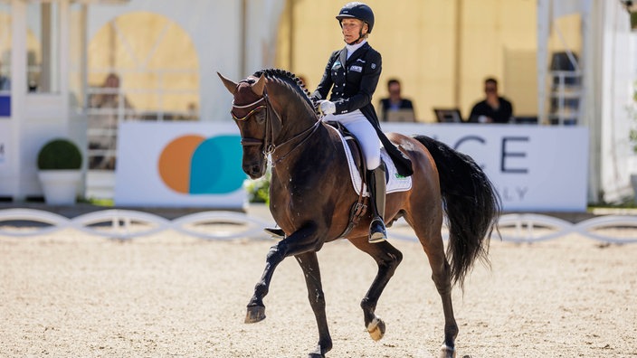 Eine Reiterin sitzt auf ihrem Pferd auf dem Reitplatz