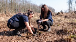 Zwei junge Frauen pflanzen einen Baum ein, hinter ihnen ist kahle Landschaft