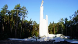 Zerstörtes Windrad im Wald.