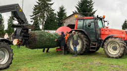 Weihnachtsbaum wird abtransportiert 