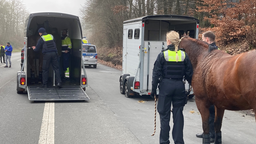 Polizisten und Pferde bei der Großkontrolle