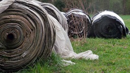 Auf einer Wiese stehen aufgerollte Tunnelfolien für die Spargelfelder