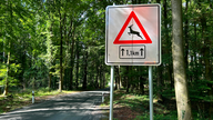 Bild der saisonalen Klapptafel im Steinfurter Wald