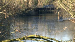 Flussverlauf der Ems bei der eine Brücke im Hintergrund zu erkennen ist