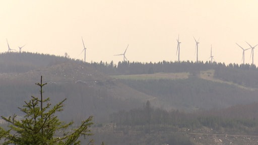 Windkraftanlagen mitten im Wald