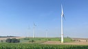 Vier Windräder stehen auf einem Feld