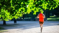 Ein Jogger läuft am frühen Morgen durch den sonnigen Kölner Stadtwald.