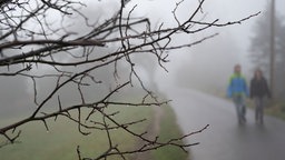 Spaziergänger gehen im Nieselregen in Herdecke