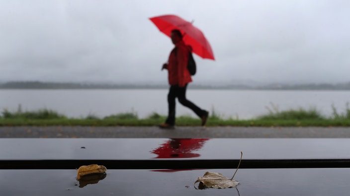 Regen: Spaziergänger mit Schirm