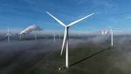 Windräder auf einem Feld bei Bergheim