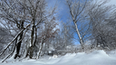 Eine schneebedeckte Landschaft in Winterberg 