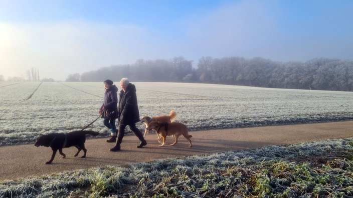 Spaziergängerinnen mit Hunden bei sonnigem Winterwetter