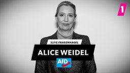 Alice Weidel beim 1LIVE Fragenhagel