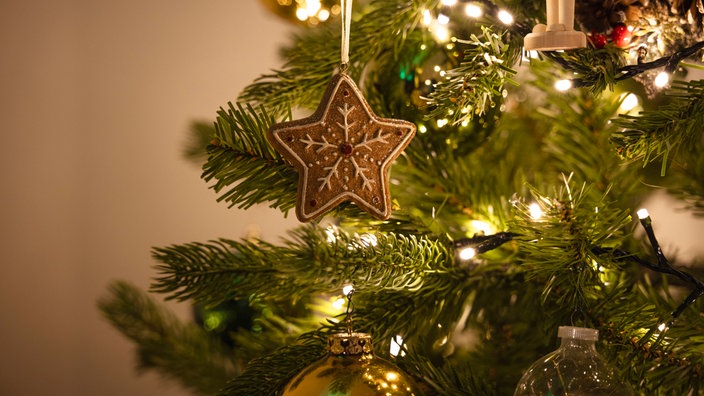 Symbolbild Weihnachtsstern und -kugel, Weihnachten, Natale, Albero