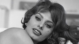 Sophia Loren Portrait