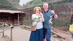 Das Zelt im Vogelpark Heiligenkirchen