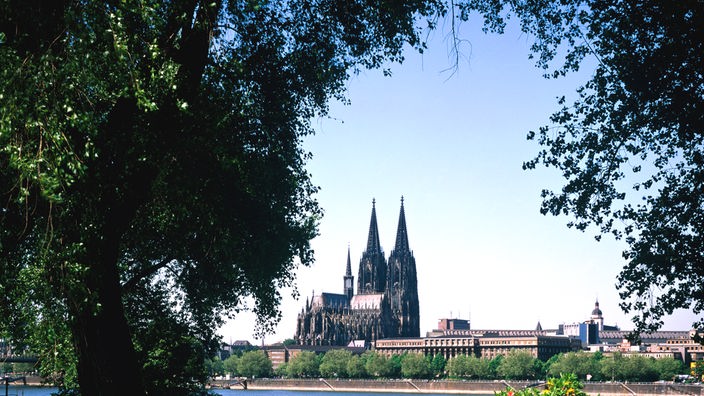 Blick vom Kölner Rheinpark auf den Rhein und den Dom