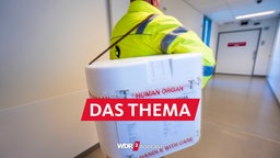 Eine Transportbox für menschliche Organe wird über einen Flur getragen