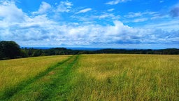 Weitblick von einem Pfad bei Bensberg nache Bergisch Gladbach