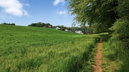 Unterwegs auf einem Pfad bei Bergisch Gladbach