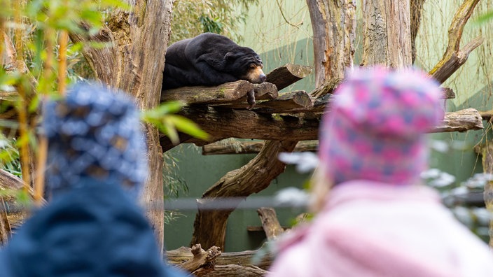 Allwetterzoo Münster