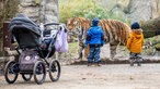 Allwetterzoo Münster: Kinder am Tigergehege