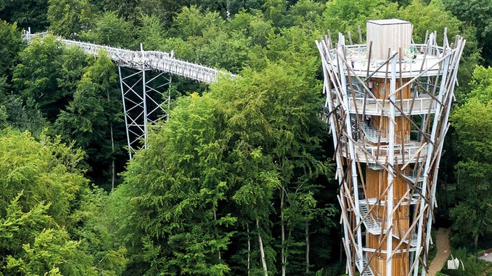 WDR 2 Raus in den Westen: Der Baumwipfelpfad in Bad Iburg