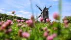 Freilichtmuseum Detmold: Bockwindmühle