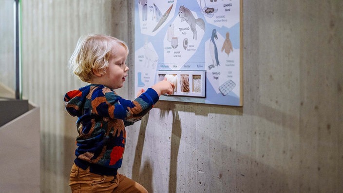 Grönland-Ausstellung im Neanderthal Museum