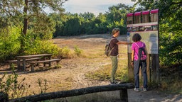 WDR 2 Raus in den Westen - Hohe Mark Steig, Naturpark Hohe Mark - Westruper Heide