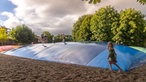 Spielende Kinder auf den Hüpfkissen auf dem Ketteler Hof