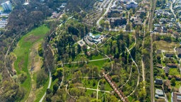 Parkanlage und Kirschblütenallee im Rombergpark in Dortmund - von oben gesehen.