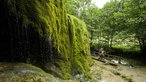 Krimiausflug in die Eifel