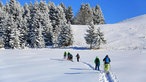 Raus in den Westen Schneeschuhwanderung im Sauerland