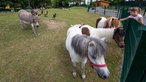 Vier-Jahreszeiten-Park Oelde