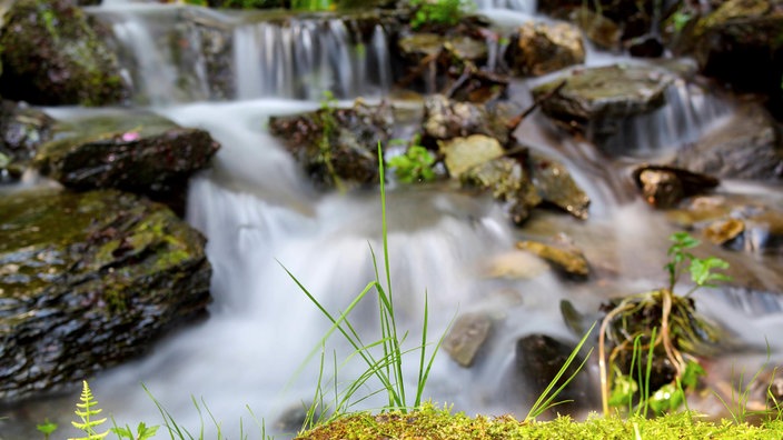 Wasserfall Plästerlegge