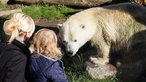 Zoom Erlebniswelt Gelsenkirchen: Eisbärin Antonia