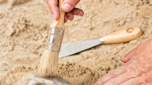 Eine Person hält einen Pinsel und legt einen Gegenstand im Sand frei (Symbolbild).