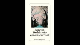 Buchcover "Ein seltsamer Ort" von Banana Yoshimoto.