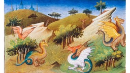 Illustration von Marco Polo: Die Tierwelt der Provinz Carajan. Drachenartige geflügelte und ungeflügelte Fabelwesen.