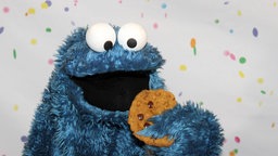 Dei blaue Handpuppe des Krümelmonsters hält einen Cookie.