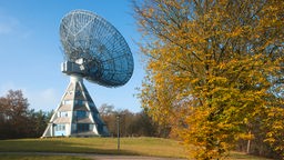 Der Astropeiler Stockert, ein großes Radioteleskop, auf einem Hügel inmitten einer Lichtung.